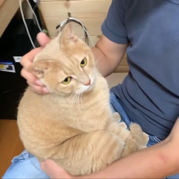 甘えるひのきちゃん