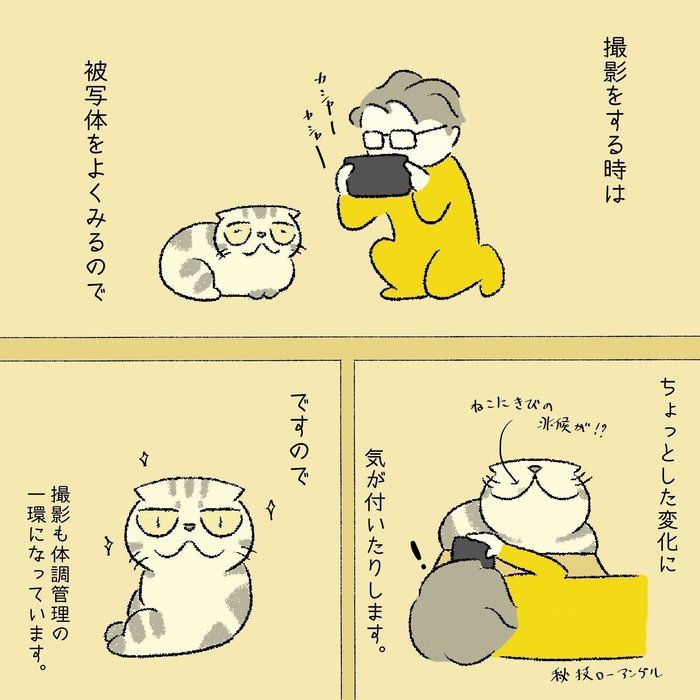 @tacos_cat