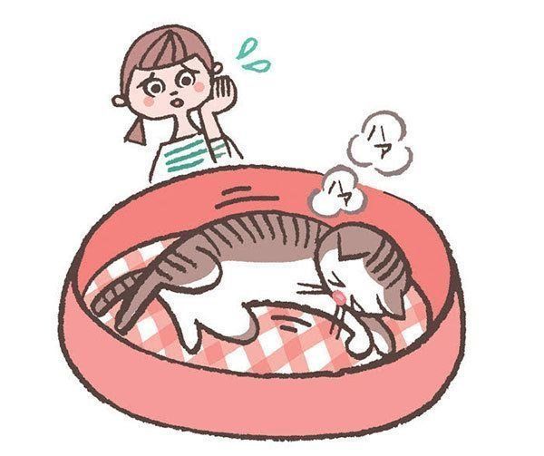 呼吸が荒い猫