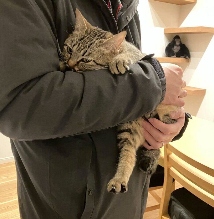 抱っこされながら自分の肉球を吸うてんちゃん