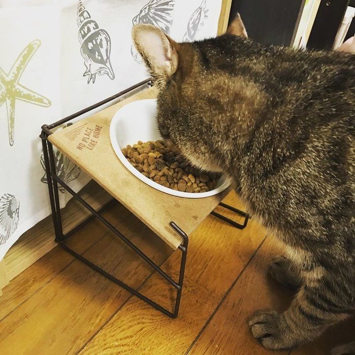 カリカリおいしい!