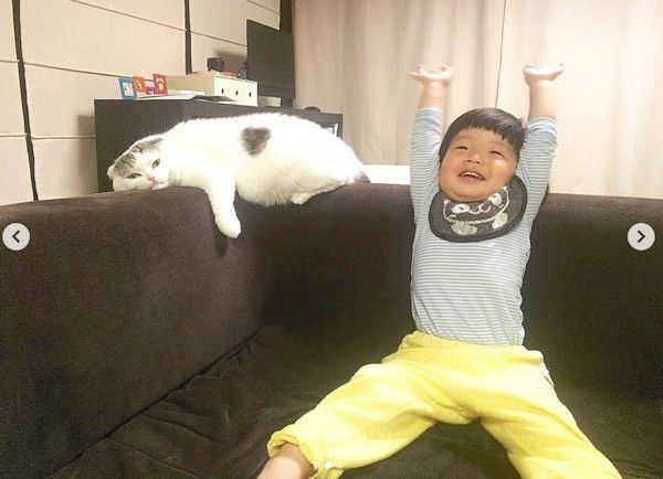 仲よしなスコティッシュフォールドと男の子