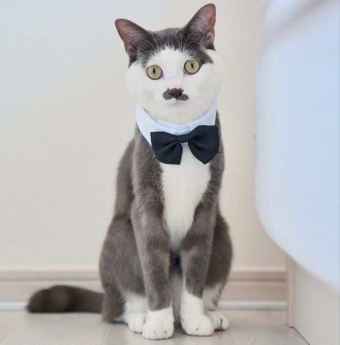 1才半になったプランスくん