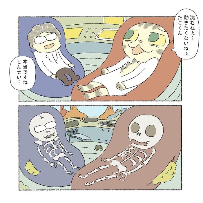 @tacos_cat