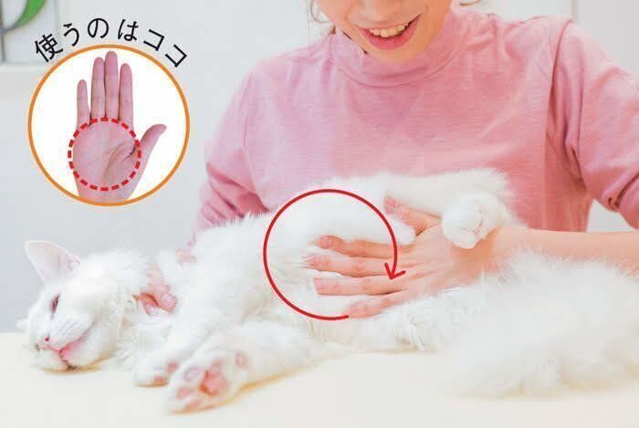 手のひらでマッサージする画像
