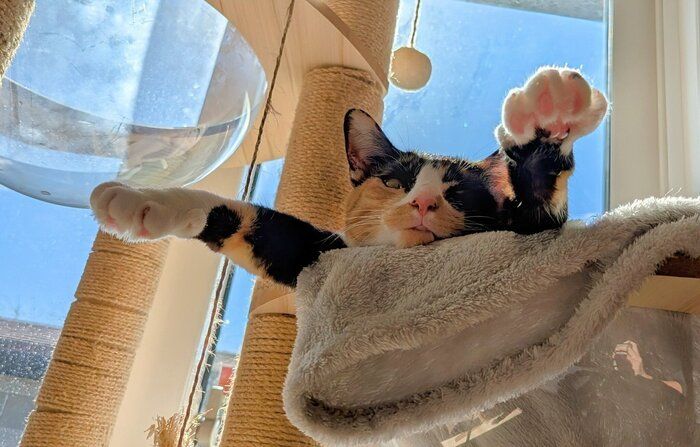 まったりするちまきさん