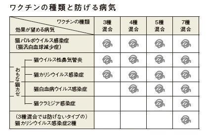 画像/ねこのきもち2019年1月号
