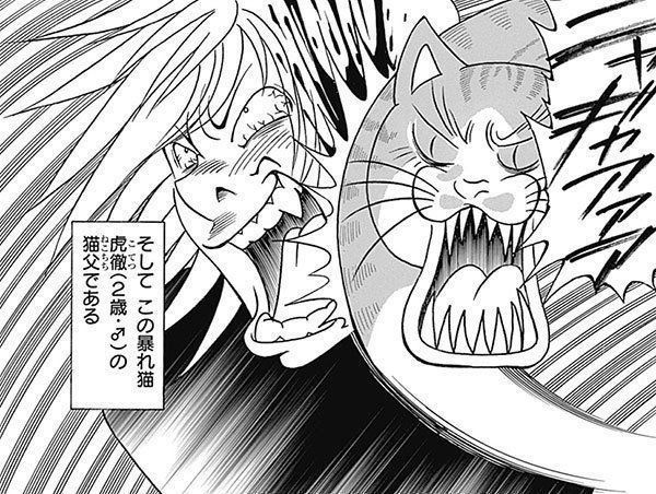 『れんコテ』