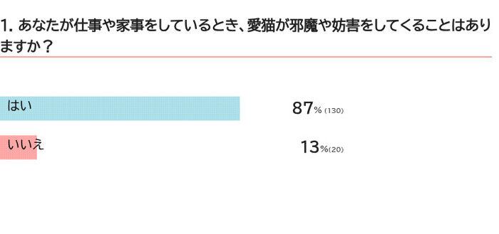 愛猫はあなたの邪魔をしてきますか？
