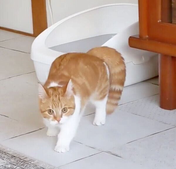 勇ましい姿を見せるむぎちゃん