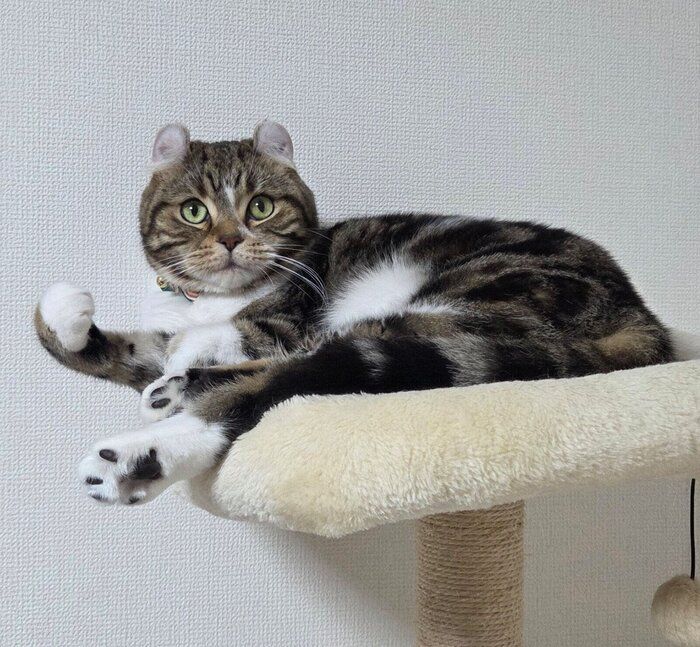 くつろぐるちくん