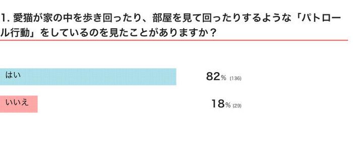 愛猫が家の中を歩き回ったり、部屋を見て回ったりするような「パトロール行動」をしているのを見たことがある？