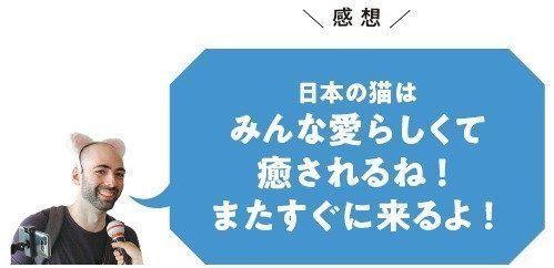 画像/ねこのきもち2018年11月号