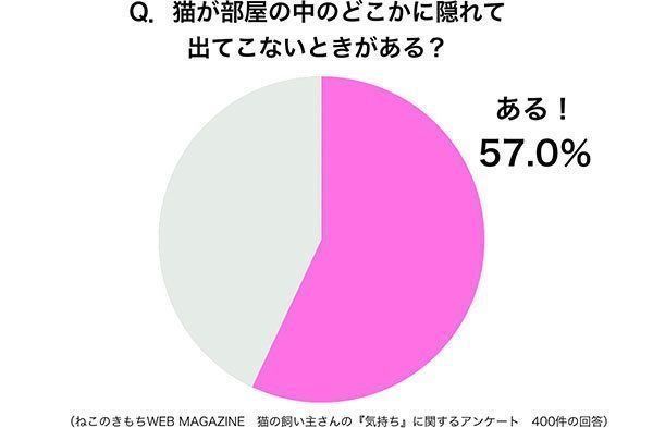 グラフ:猫が部屋の中のどこかに隠れて出てこないときがある?