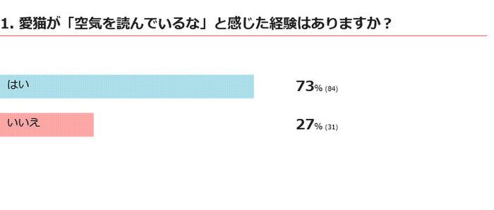 愛猫は空気を読んでいると感じる？