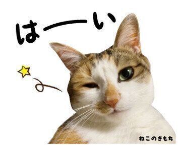 クルミちゃんのスタンプ