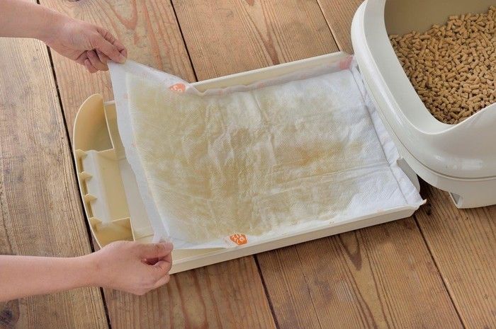 オシッコは1週間ごとにシートを交換すればOK