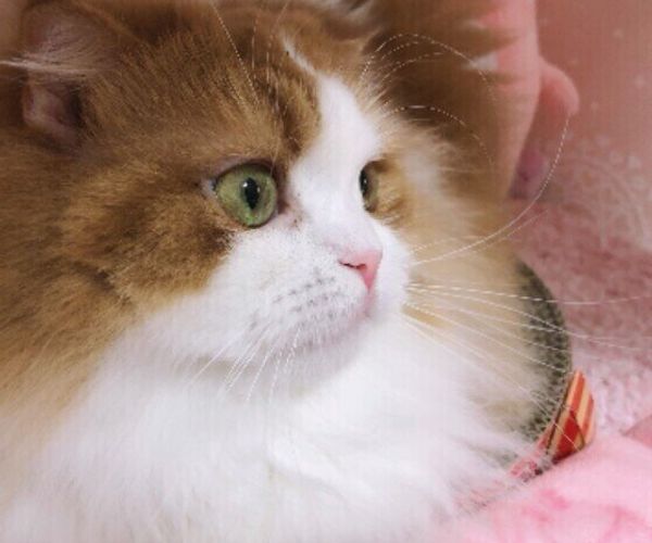 Okras7mwl63fum Okras7mwl63fum