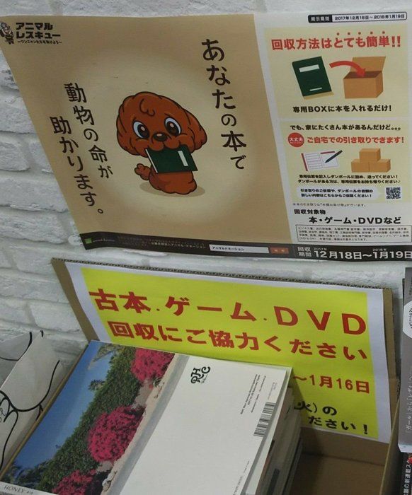 画像/2018年2月号「第83回 猫のために何ができるだろうか」