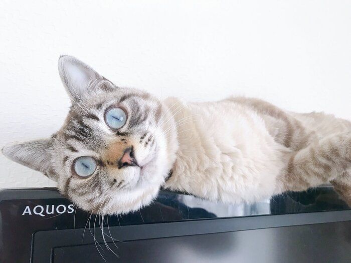 やんちゃな様子が伝わってくる1枚