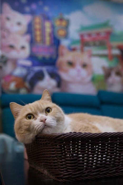 ©Masayuki Oki