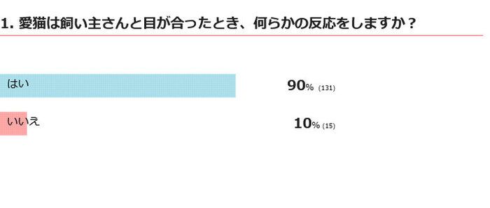 目が合うと愛猫は反応する？