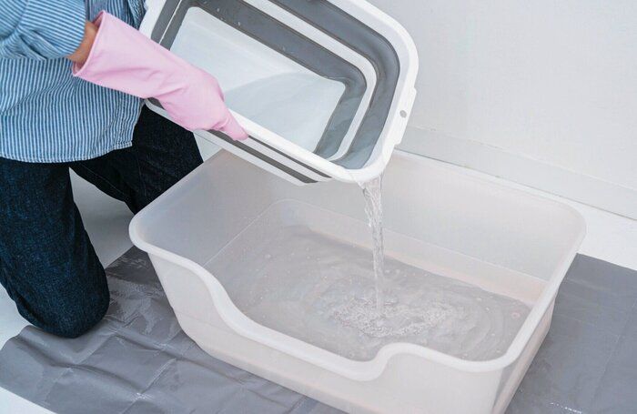 猫トイレに水をためる