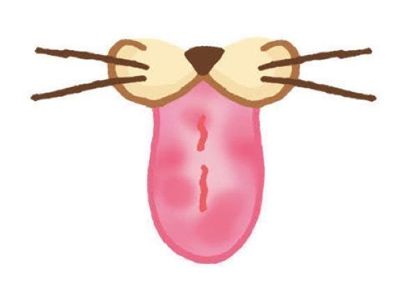 健康/異変のある猫の舌