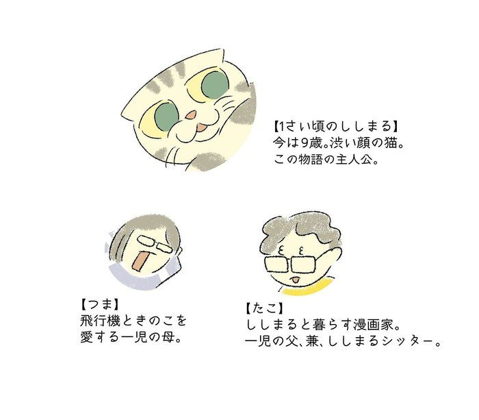 @tacos_cat