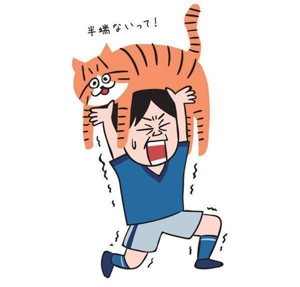 半端ない大猫