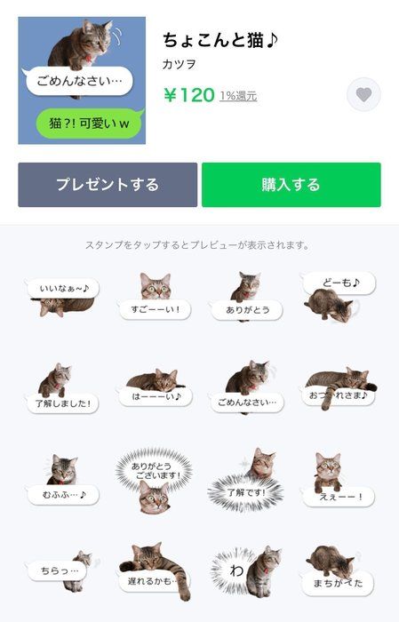 ちょこんと猫♪