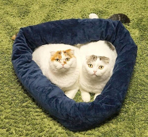 寄り添うライくんといとさん