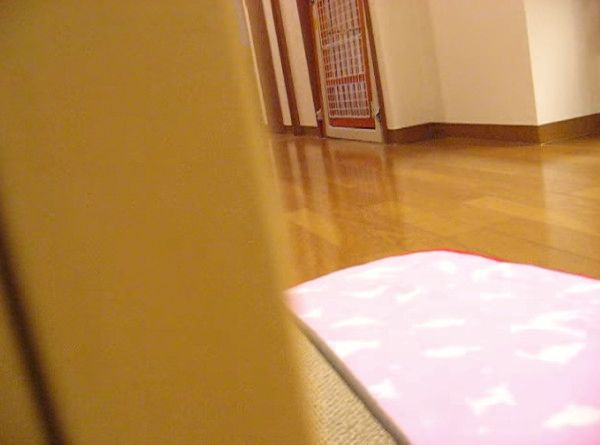 だるま