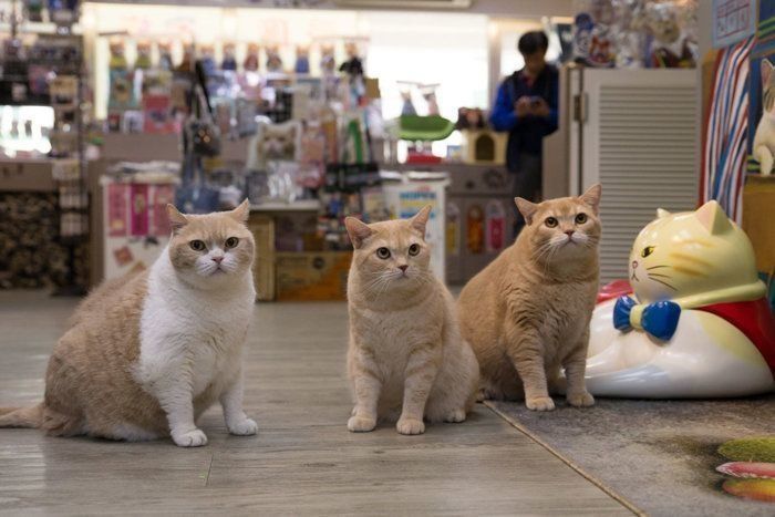 ©Masayuki Oki