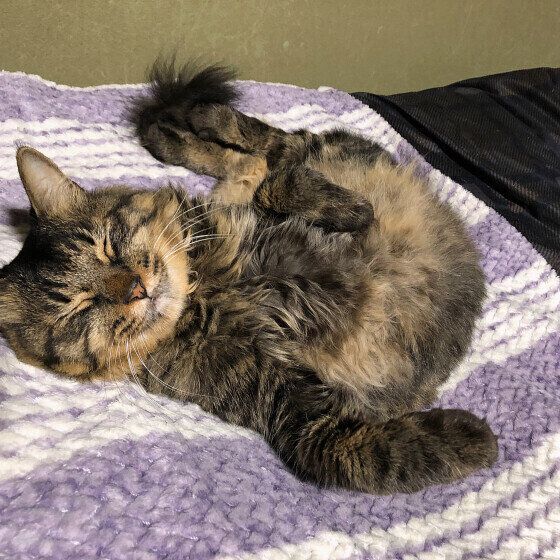 リラックスするハルヒくん