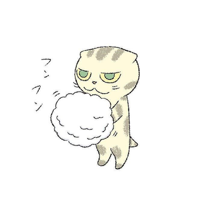 @tacos_cat