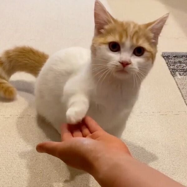 おかわりをする諭吉くん
