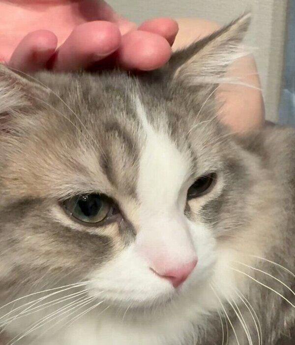 甘えん坊タイムの霖くん