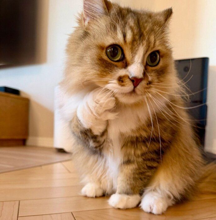 可愛いポーズをするみぬ次郎くん