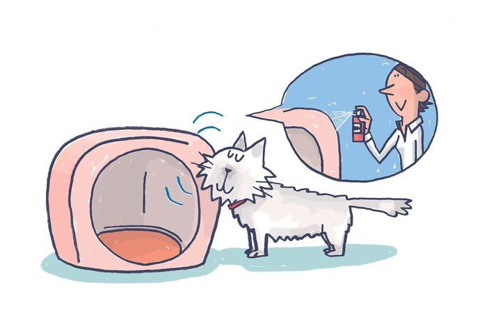 イラスト/上垣厚子