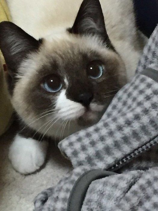 狙ってます!