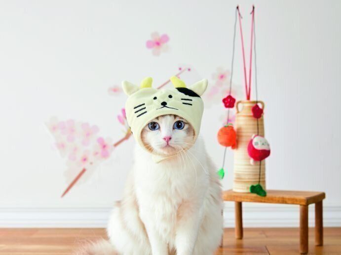 かぶりもの