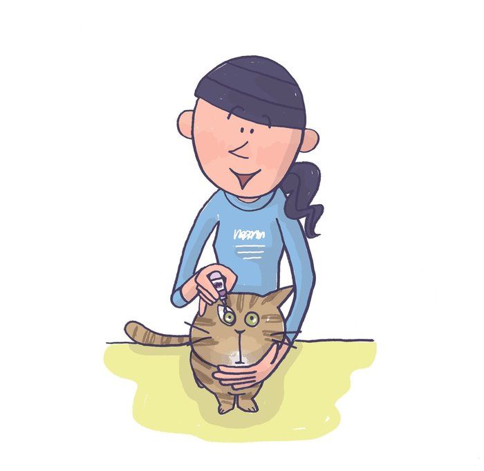 画像/2020年5月号「ねこの病気、そこが知りたい」