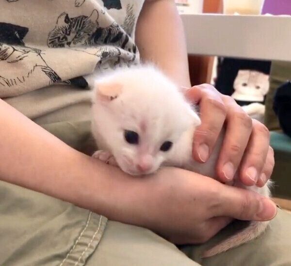 抱っこされる雅くん