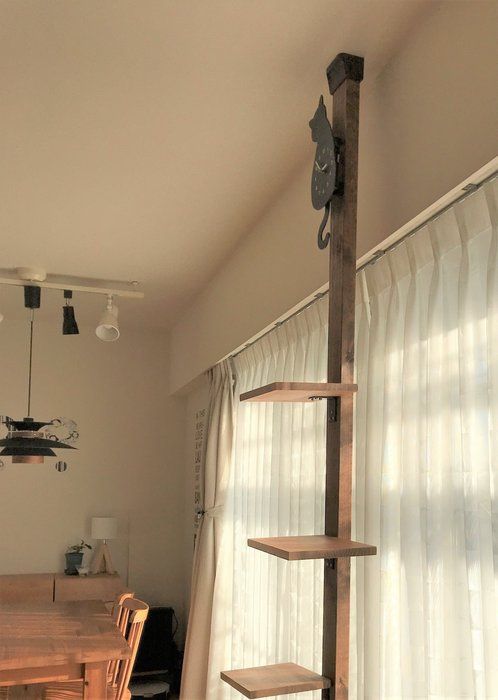 画像/ねこのきもち