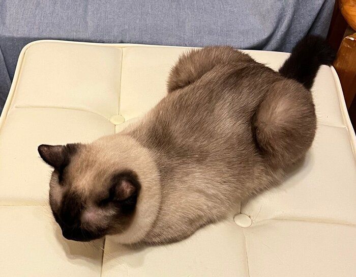 ひとり寂しく佇む様子のなみちゃん