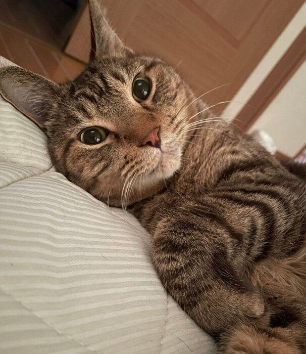 まったりするリリくん