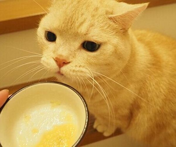 Okras7mwl63fum Okras7mwl63fum