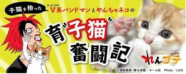 子猫を拾ったV(ヴィジュアル)系バンドマンとやんちゃネコの育"子猫"奮闘記