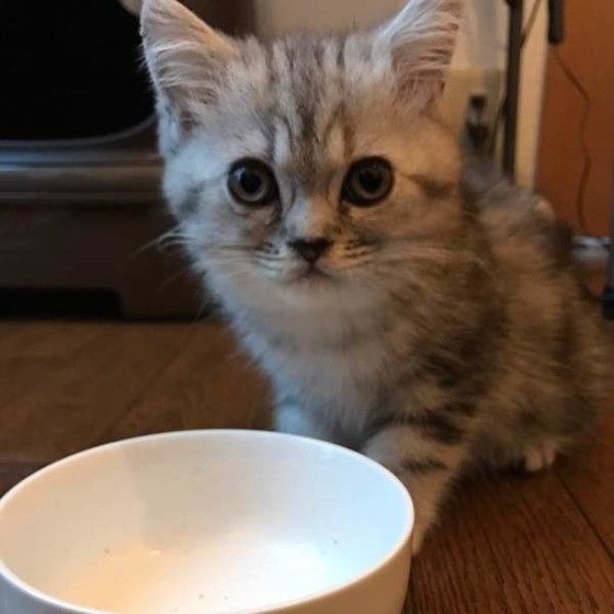ペロリと完食